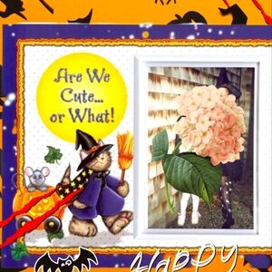 Are We Cute or What? - Halloween Picture Frame